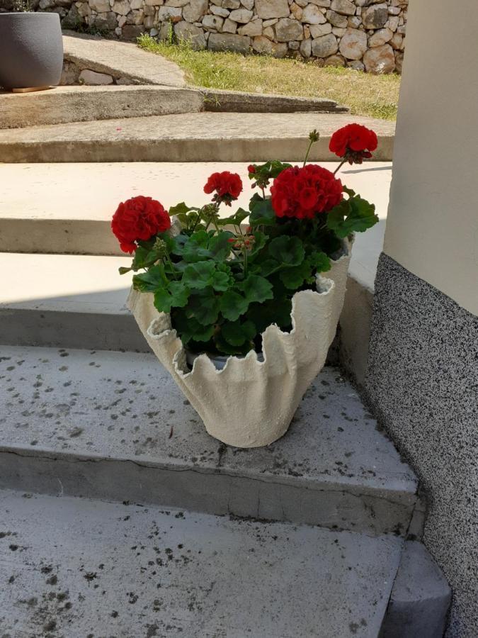 Apartman Danijela Zagorje エクステリア 写真