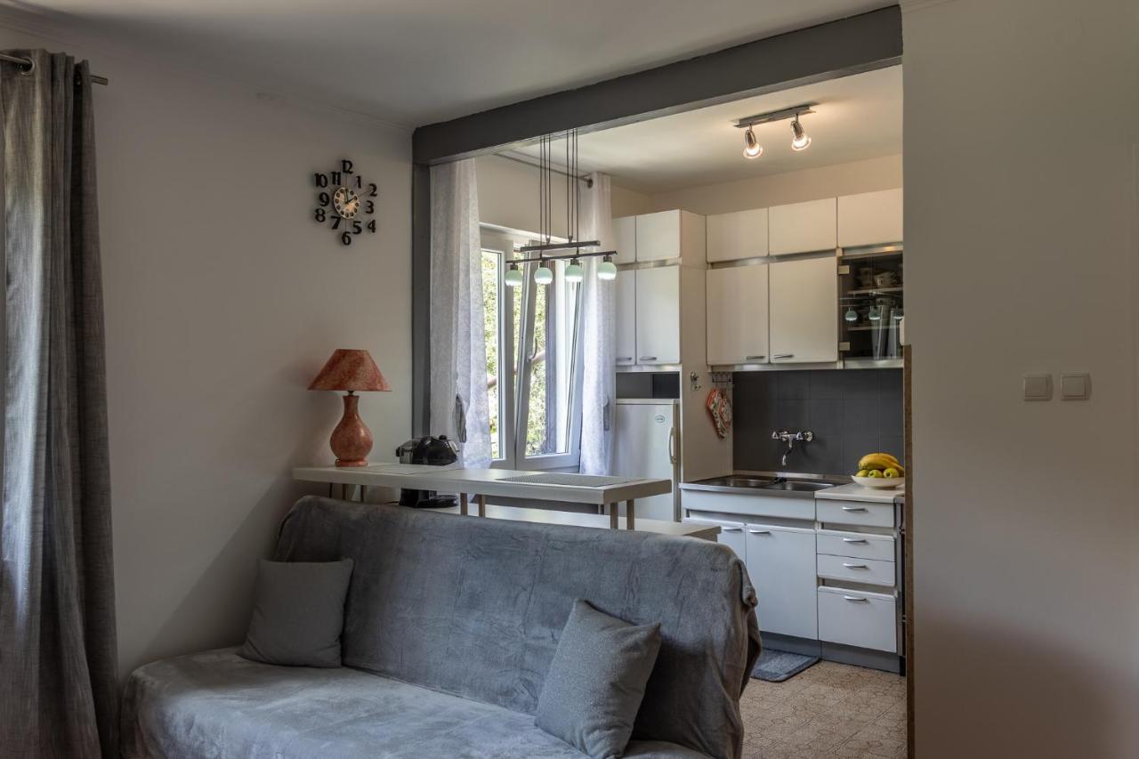 Apartman Danijela Zagorje エクステリア 写真