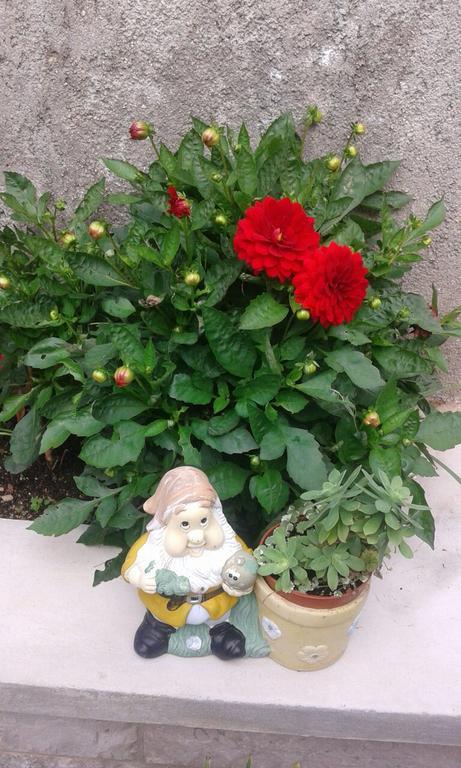 Apartman Danijela Zagorje エクステリア 写真