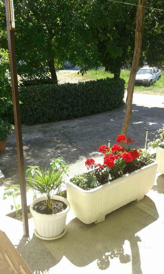 Apartman Danijela Zagorje エクステリア 写真